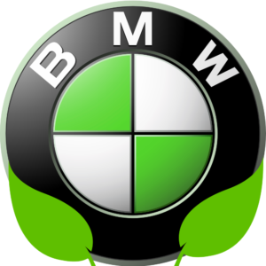 bmw verte logo